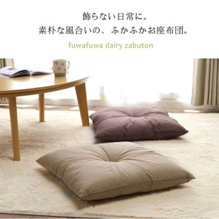 座布団2枚 カラーは画像下