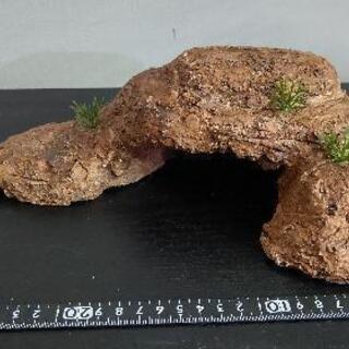 爬虫類用シェルター