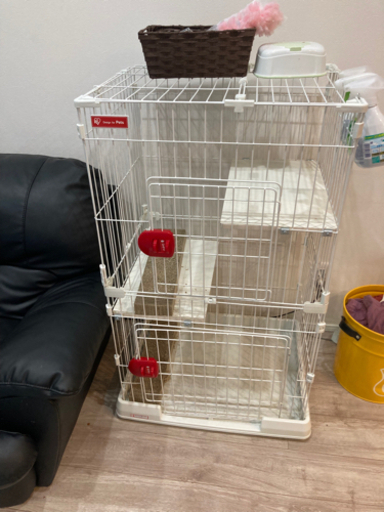 猫　ゲージ　購入予約いただきました