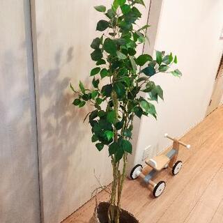 フェイクグリーン　人工観葉植物
