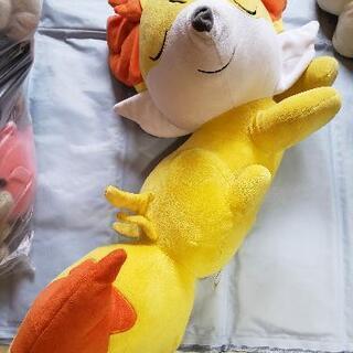 ポケモンぬいぐるみ☆フォッコ