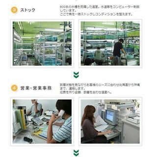 【急募！】熱帯魚・水草・アクアリウム商品　ＰＣ在庫管理・商品の登録・梱包や発送業務の画像