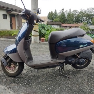ホンダタクト