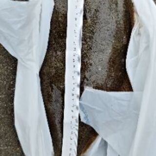 釣り一緒にやりましょ　 - メンバー募集
