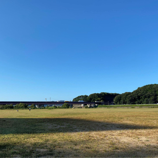 早朝　野球練習　メンバー募集