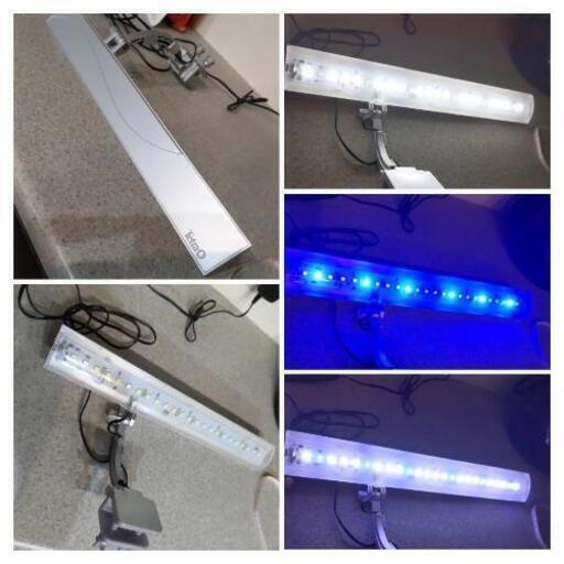 水槽　LEDライト　2個セット