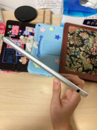 iPad mini5