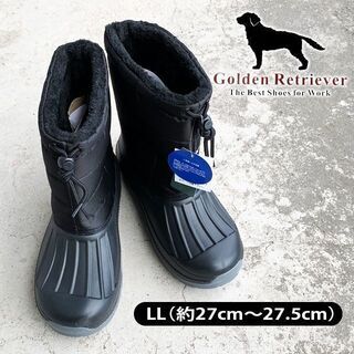 【 Golden Retriever 】ゴールデンレトリバー　2...