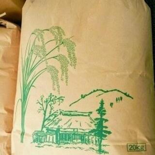 一等米 新米 彩のかがやき20kg（単一原料米、令和3年産）