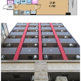 今宮。初期費用無料。徒歩2分。