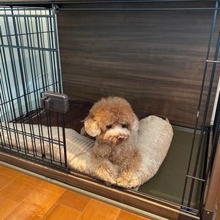 犬用ケージあげますの画像