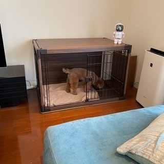 犬用ケージあげますの画像
