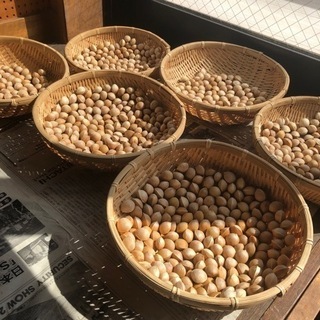 無農薬自然落下の乾燥銀杏　100g100円