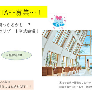 10/17(日)憧れのウエディングドレスに関するお仕事！