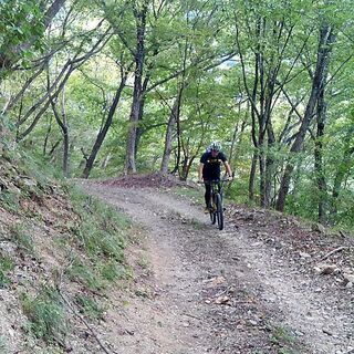 水曜日にＭＴＢ（マウンテンバイク）で一緒に走れる方を探してます - 伊勢原市