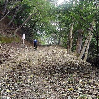 水曜日にＭＴＢ（マウンテンバイク）で一緒に走れる方を探してます − 神奈川県