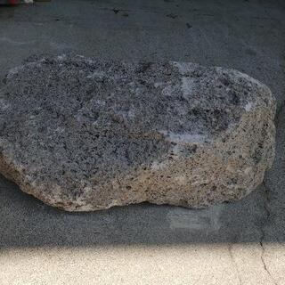 大きい軽石？