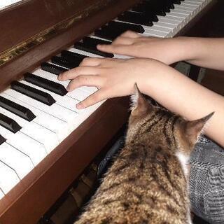コモド音楽教室  ピアノ、エレクトーン等