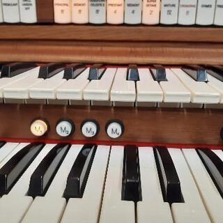 コモド音楽教室  ピアノ、エレクトーン等の画像