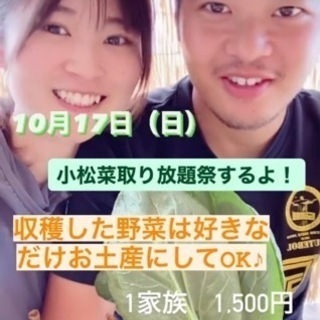 【10/17(日)】小松菜収穫祭★取り放題！