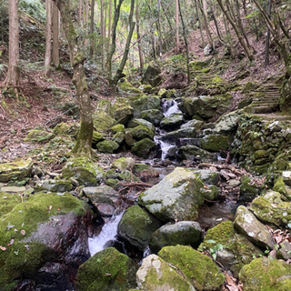 登山メンバー募集😊💓 - 京都市