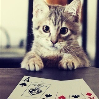 10/17 13時〜17時　ポーカーやります♠️♣️♦️♥️