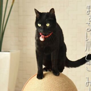 猫★爪とぎ★丸い★円球★麻✨ファニーキャッツ ボール☆格安で譲っ...