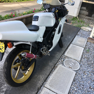 ホンダ　ns-1 HONDA 原付2種の画像