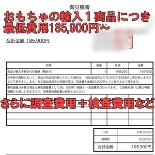 【福岡県限定】おもちゃの中国輸入（食品等輸入届）学びたい人いますか？食品届代行の画像