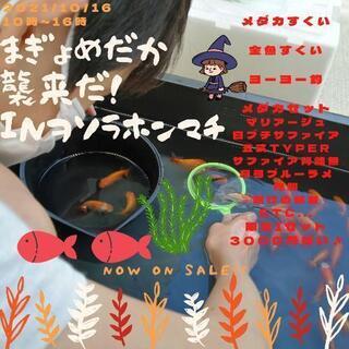 メダカマルシェInヲソラホンマチ