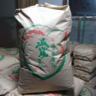 愛媛県産ヒノヒカリ～30kg×2袋～