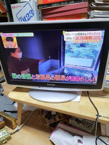 液晶 テレビ Panasonic パナソニック VIERA ビエラ デジタルハイビジョン TH-L22D2 リモコン無し 液晶テレビ