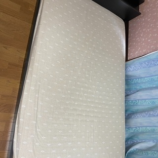 セミダブルベット