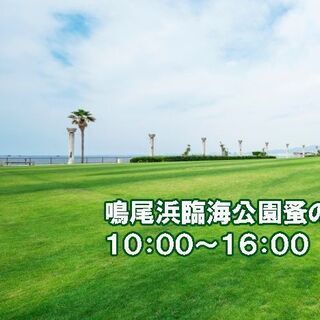鳴尾浜臨海公園　蚤の市　出店者大募集