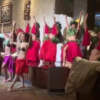 木更津金田 タヒチアンダンス メンバー募集 アウトレットすぐそばの画像