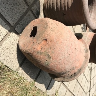 タコ壺の画像