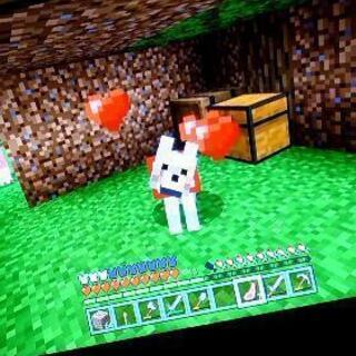 マイクラフレンド募集！