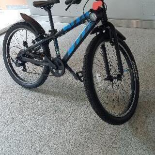 ブリヂストン BWX ｷｯｽﾞ ｼﾞｭﾆｱ自転車 7速24インチの画像