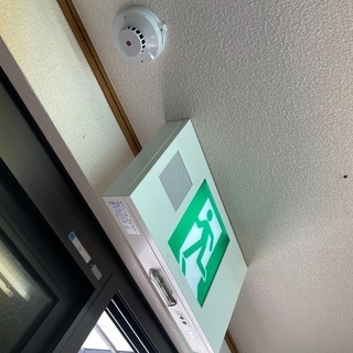 <<日払い可・住込自由>>の画像