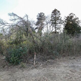 『家庭菜園やキャンプなどで!![住宅建築不可]』■小山市  南飯...