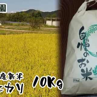 令和3年度新米　ヒノヒカリ