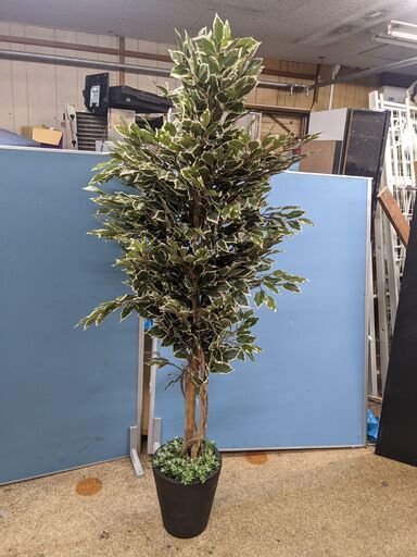 (売約済み)フェイクグリーン 人口観葉植物 造花　190ｃｍ　大型