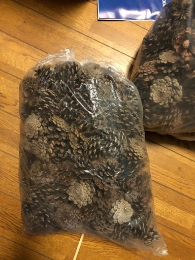 松ぼっくり