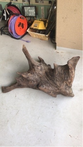 流木　大サイズ