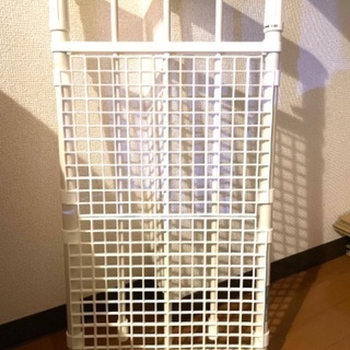 突っ張りラック