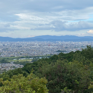 サークル、お茶の勧誘待ってます。