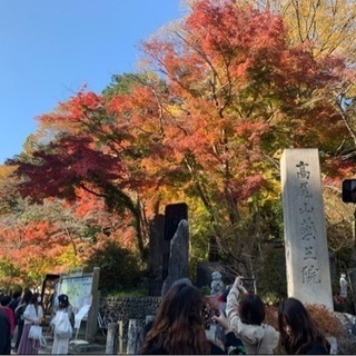 高尾山に一緒に登りませんか？2021/10/17〜11/7の土日どこか