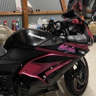 Ninja250R の画像