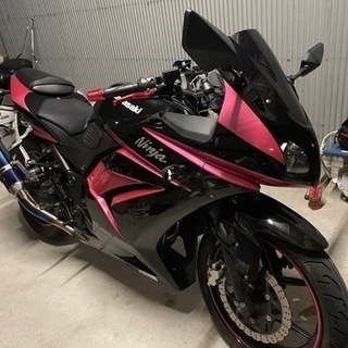 Ninja250R の画像
