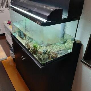 90センチ水槽、水槽台、ポンプ、ヒーター、ライトセット